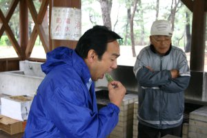 日吉津村にある水辺の楽校で開催された野草の学習、野草天ぷらを試食する様子の画像
