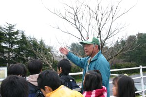 日吉津村にある水辺の楽校で開催された春の子ども探検ウォークではぜの木を説明する様子