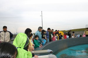 日吉津村にある水辺の楽校で開催された探検ウォークで養漁場を見学している様子