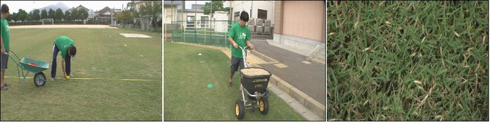 冬芝の種蒔きの様子