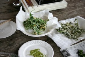 日吉津村にある水辺の楽校で開催された野草の学習で見つけた野草を天ぷらにする様子の画像